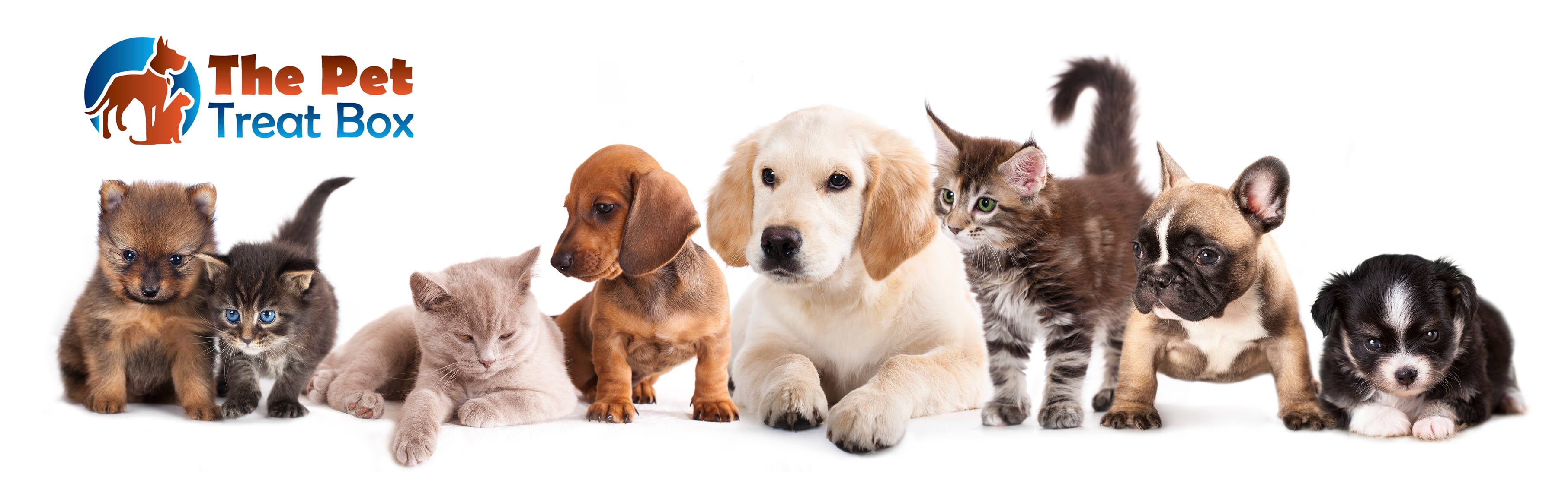 The Pet Treat Box logo with kittens and puppies